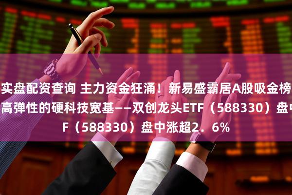实盘配资查询 主力资金狂涌！新易盛霸居A股吸金榜榜首！20CM高弹性的硬科技宽基——双创龙头ETF（588330）盘中涨超2．6%